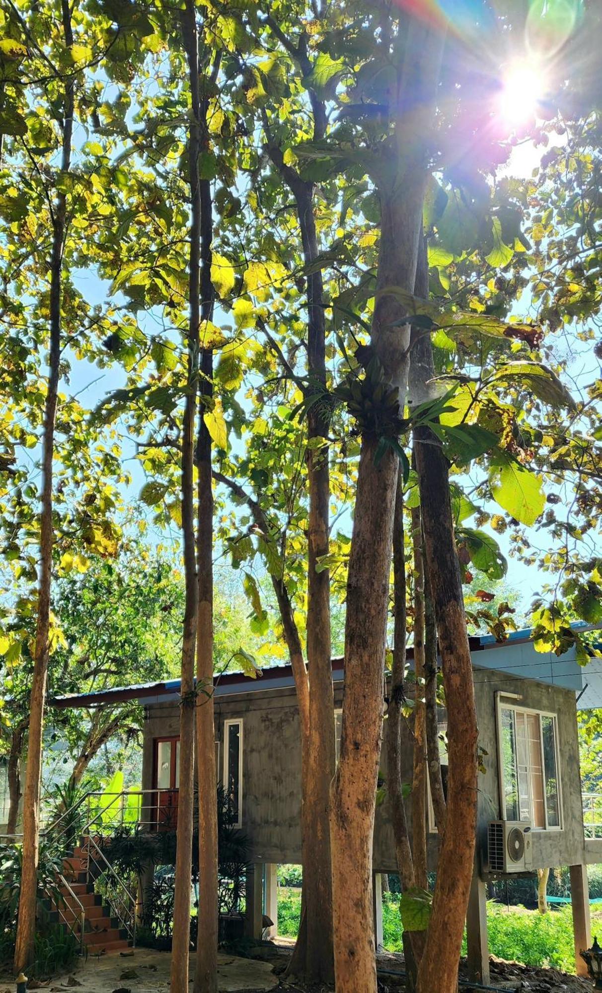 Rimtharnn Homestay Maewin Mae Wang Esterno foto