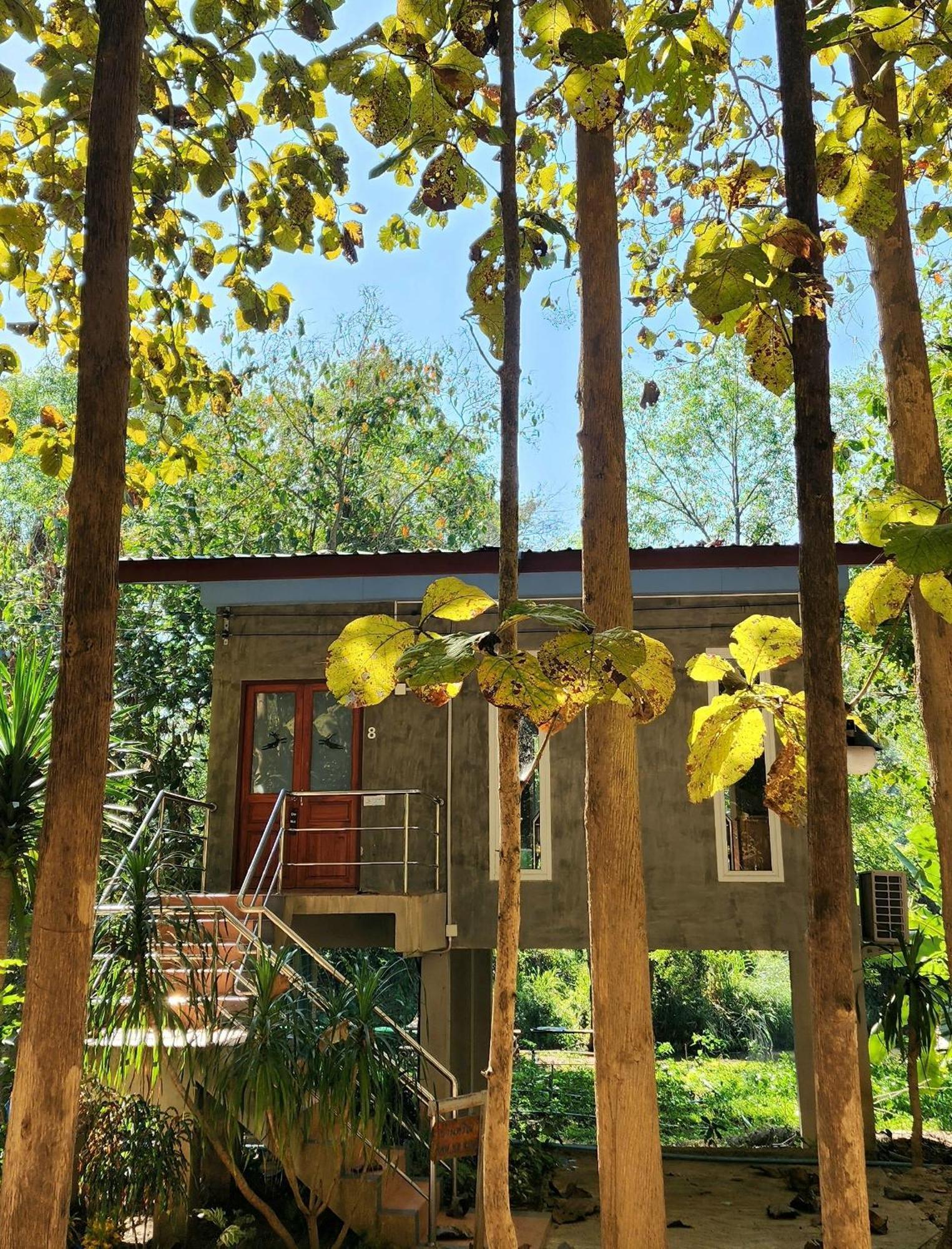 Rimtharnn Homestay Maewin Mae Wang Esterno foto